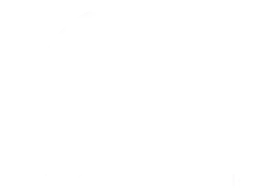 logo-temp-turtle-white